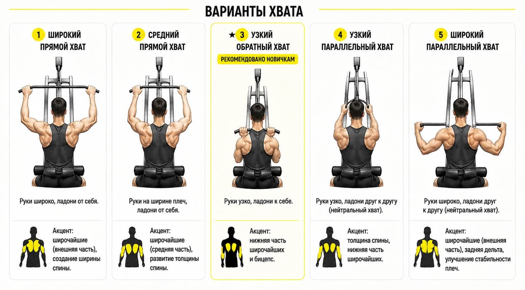 Хваты в тяге верхнего блока: широкий, узкий, обратный и параллельный