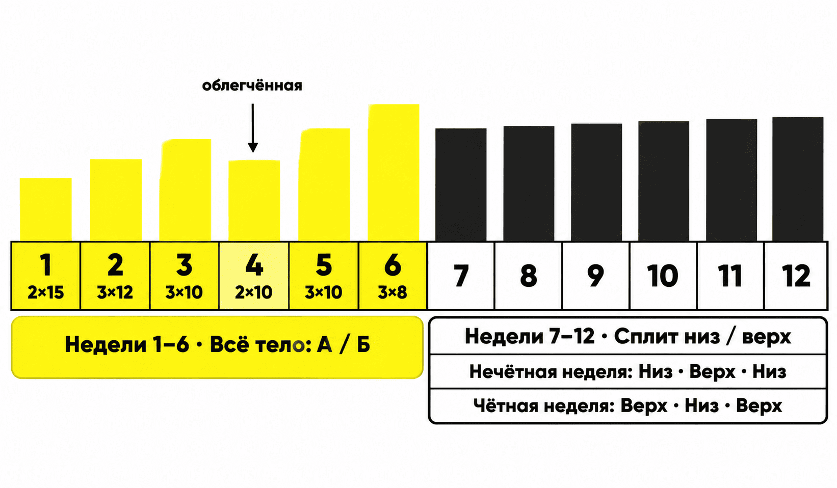 Схема программы тренировок для девушек на 12 недель: всё тело, затем сплит низ и верх