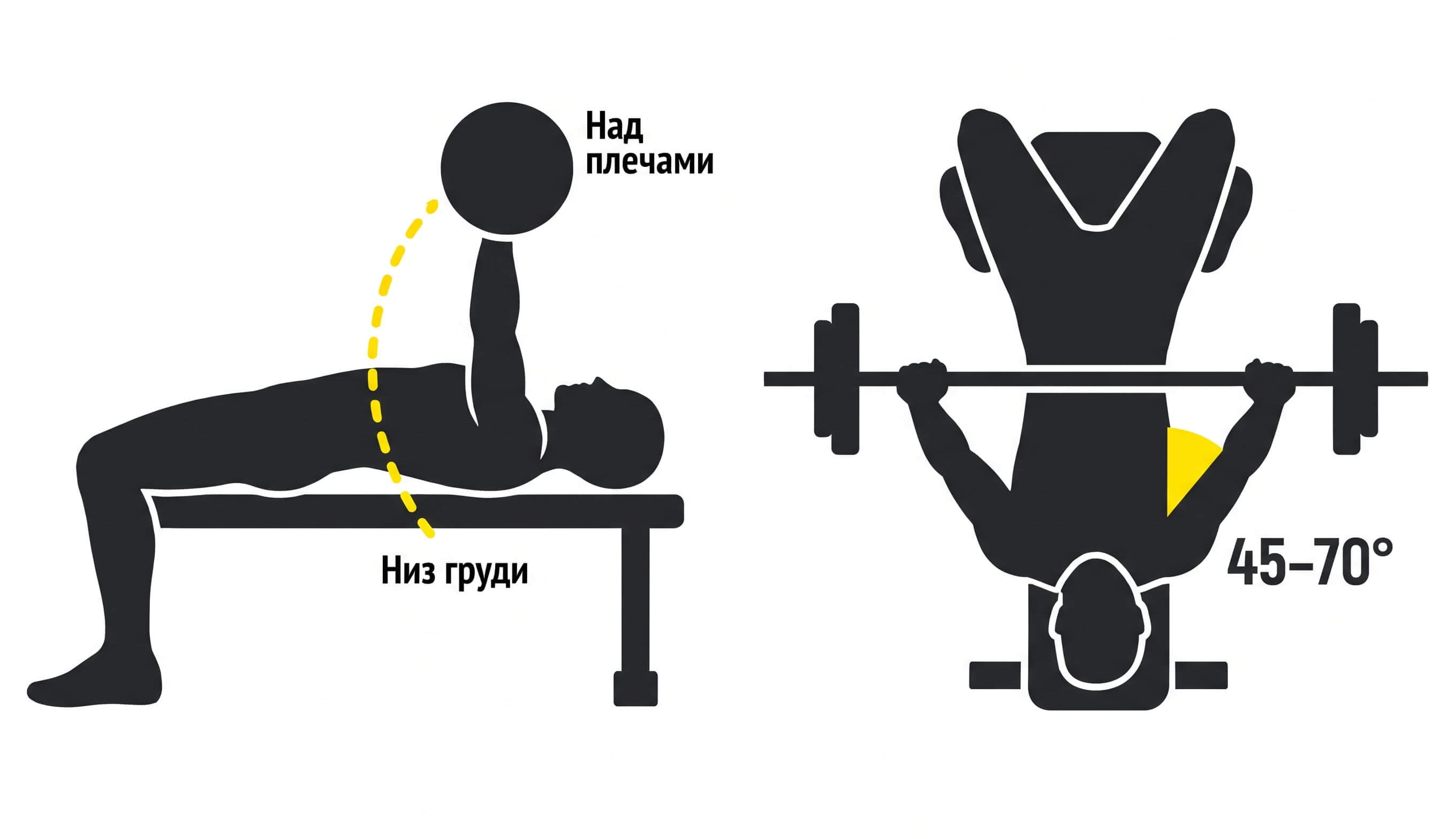 Траектория грифа в жиме лёжа и угол локтей относительно корпуса